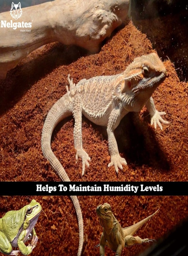 Nelgates Coco peat for Reptiles Bedding 1kg Coco peat Terrarium Substrate for Ball Python Frog Snake Gecko Hermit Crab Tortoise - Image 5